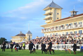 Communication must be a priority amid high-profile protests